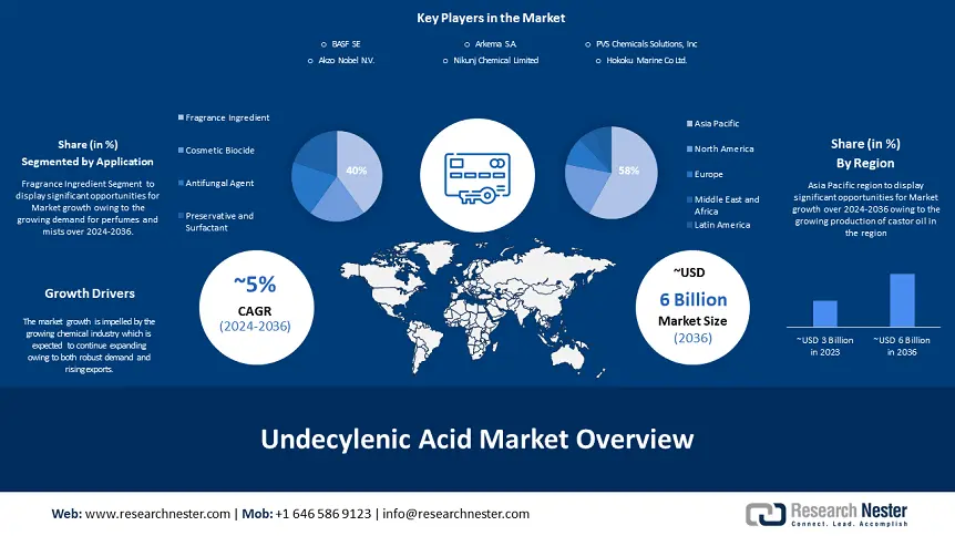 Undecylenic Acid Market overview
